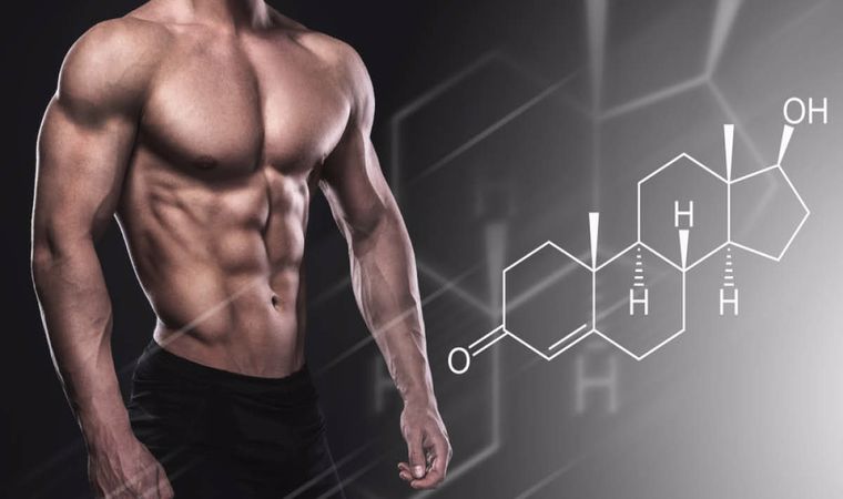 the truth about lactic acid in body building